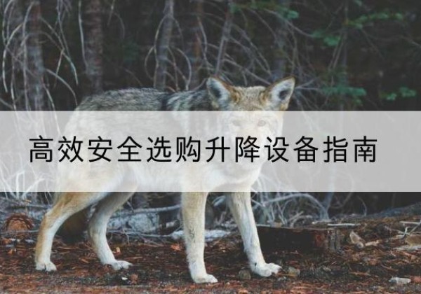 西乌珠穆沁旗升降货梯厂家推荐-*安全选购升降设备指南