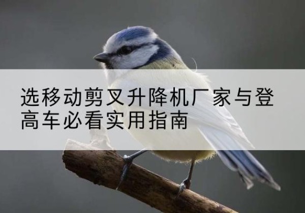西乌珠穆沁旗电动升降机厂家-选移动剪叉升降机厂家与登高车必看实用指南